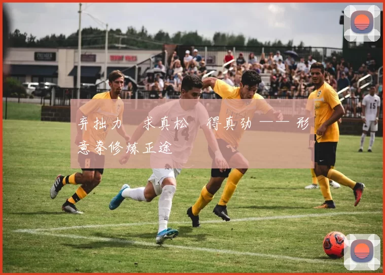 弃拙力・求真松・得真劲 —— 形意拳修炼正途