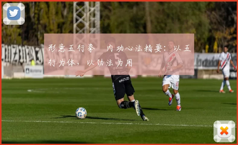 形意五行拳・内功心法精要：以五行为体，以劲法为用