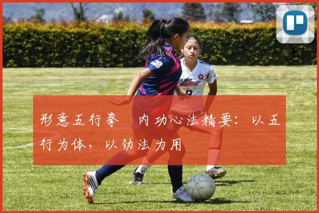 形意五行拳・内功心法精要：以五行为体，以劲法为用