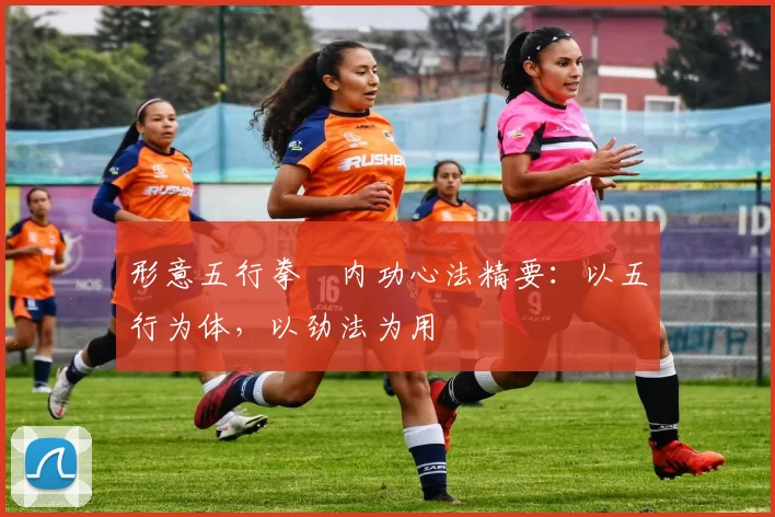 形意五行拳・内功心法精要：以五行为体，以劲法为用