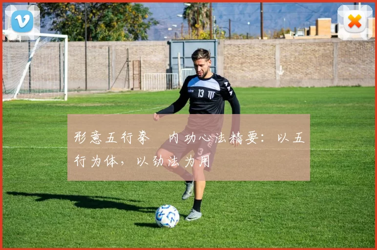 形意五行拳・内功心法精要:以五行为体,以劲法为用