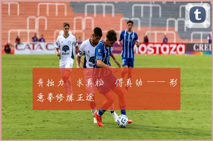 弃拙力・求真松・得真劲 —— 形意拳修炼正途