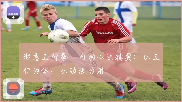 形意五行拳・内功心法精要：以五行为体，以劲法为用