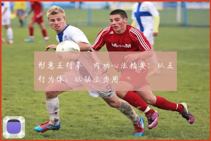 形意五行拳・内功心法精要：以五行为体，以劲法为用