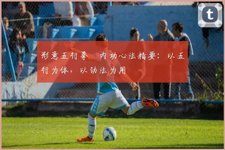 形意五行拳・内功心法精要:以五行为体,以劲法为用