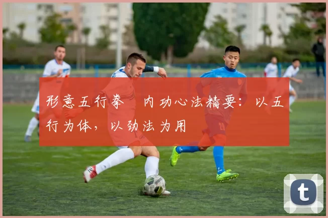 形意五行拳・内功心法精要:以五行为体,以劲法为用