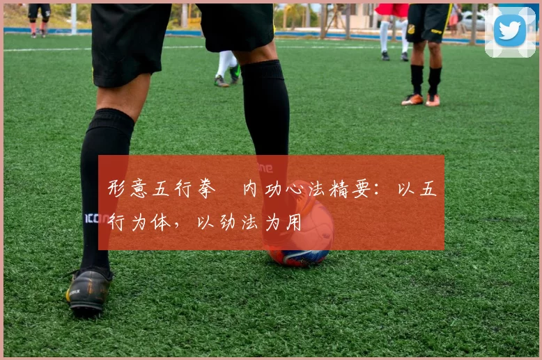 形意五行拳・内功心法精要:以五行为体,以劲法为用