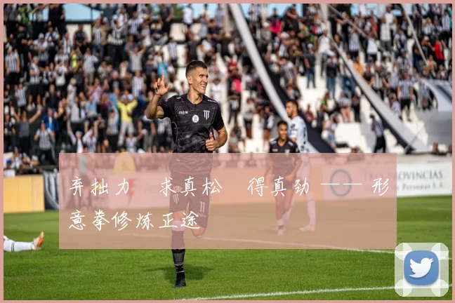 弃拙力・求真松・得真劲 —— 形意拳修炼正途