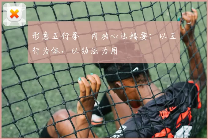 形意五行拳・内功心法精要：以五行为体，以劲法为用