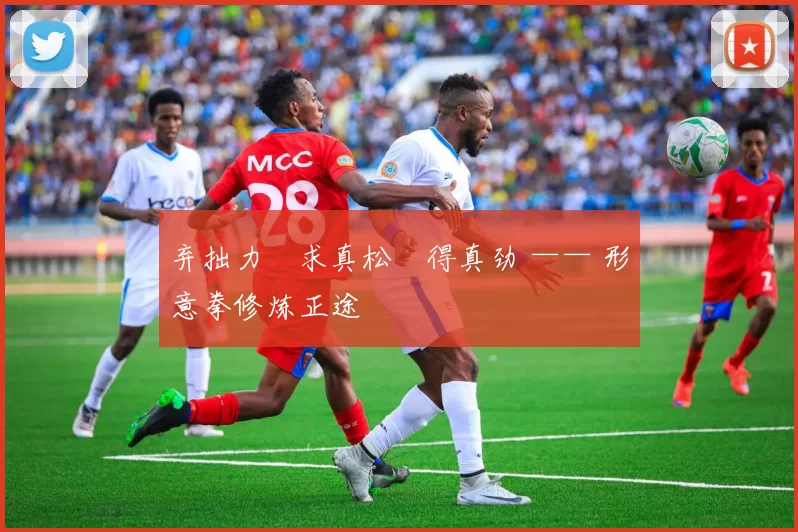 弃拙力・求真松・得真劲 —— 形意拳修炼正途