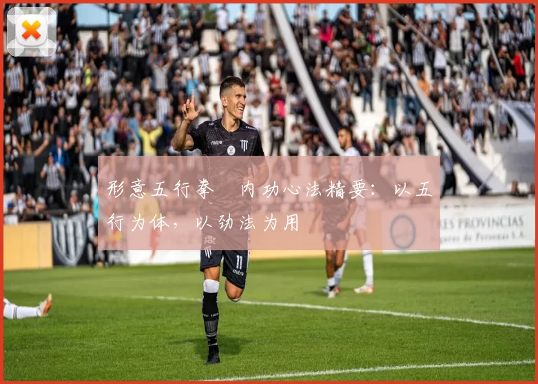 形意五行拳・内功心法精要:以五行为体,以劲法为用