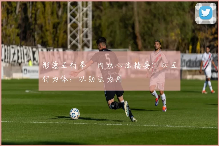 形意五行拳・内功心法精要：以五行为体，以劲法为用