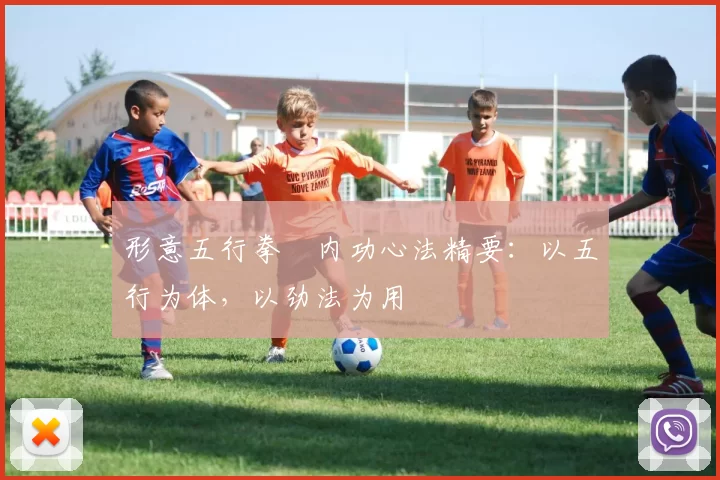 形意五行拳・内功心法精要:以五行为体,以劲法为用