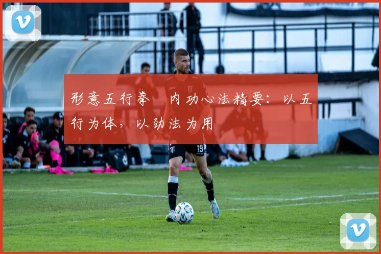 形意五行拳・内功心法精要:以五行为体,以劲法为用