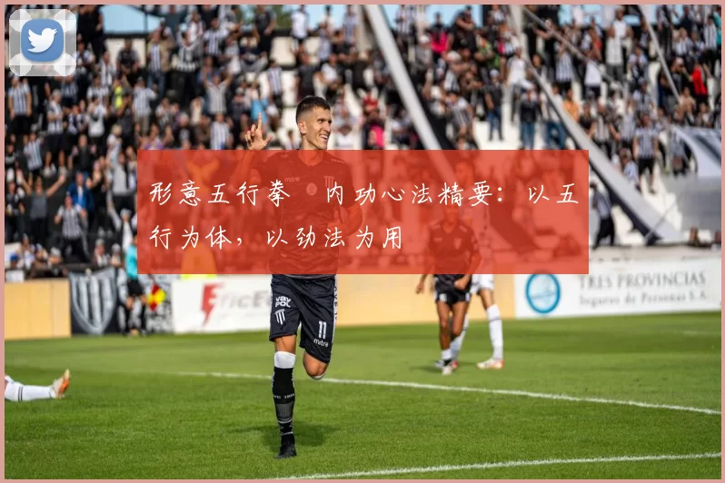 形意五行拳・内功心法精要：以五行为体，以劲法为用