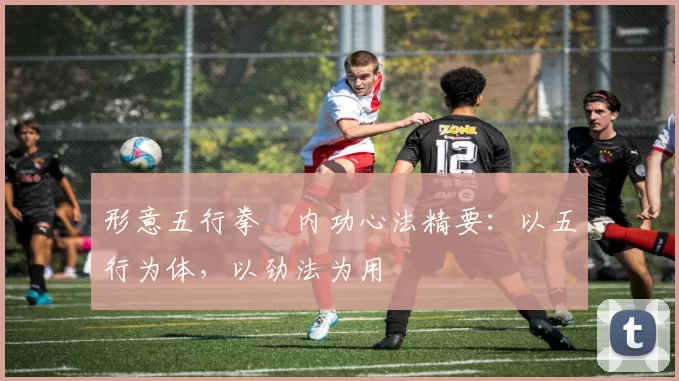 形意五行拳・内功心法精要：以五行为体，以劲法为用