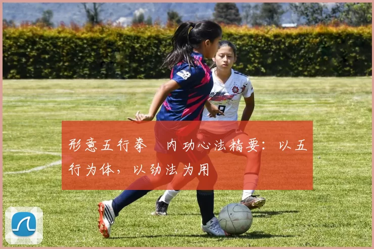 形意五行拳・内功心法精要：以五行为体，以劲法为用