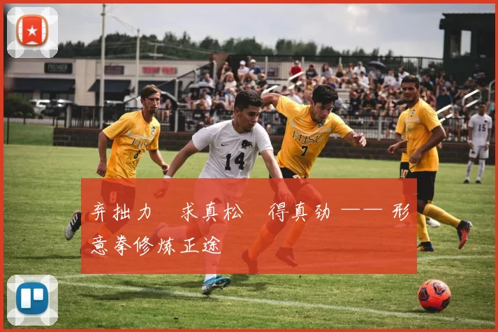 弃拙力・求真松・得真劲 —— 形意拳修炼正途