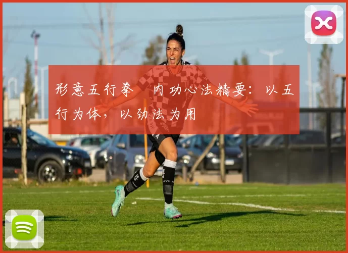 形意五行拳・内功心法精要：以五行为体，以劲法为用