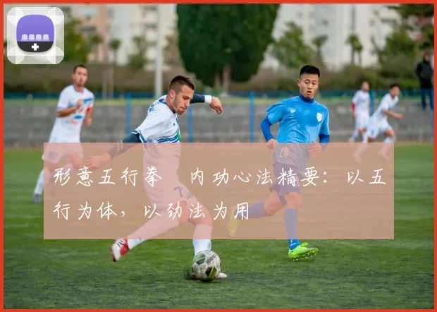 形意五行拳・内功心法精要：以五行为体，以劲法为用