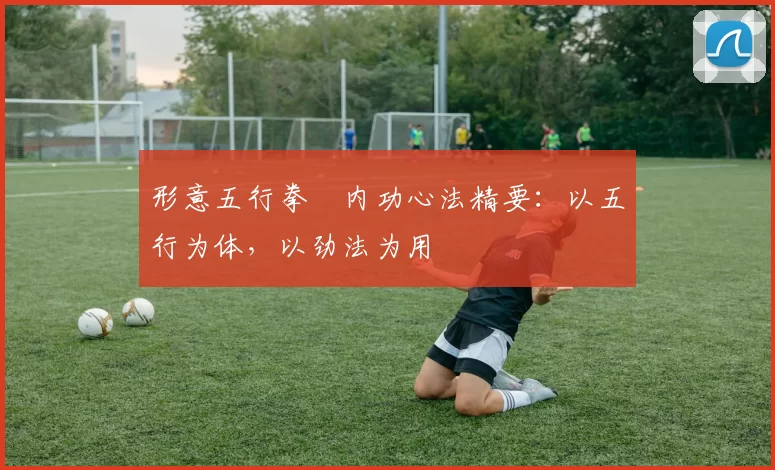 形意五行拳・内功心法精要:以五行为体,以劲法为用