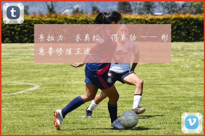 弃拙力・求真松・得真劲 —— 形意拳修炼正途