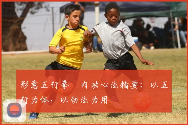 形意五行拳・内功心法精要:以五行为体,以劲法为用
