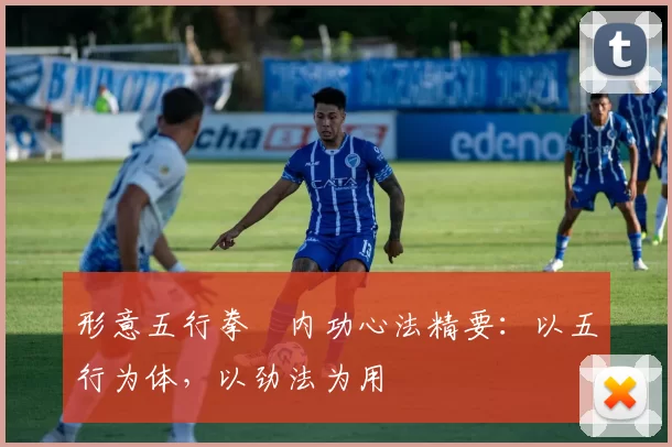 形意五行拳・内功心法精要:以五行为体,以劲法为用