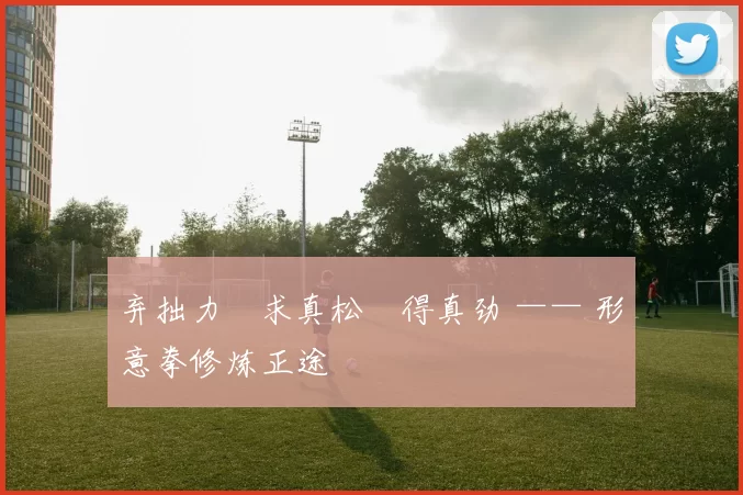 弃拙力・求真松・得真劲 —— 形意拳修炼正途