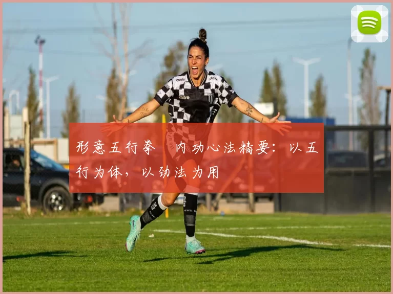 形意五行拳・内功心法精要：以五行为体，以劲法为用