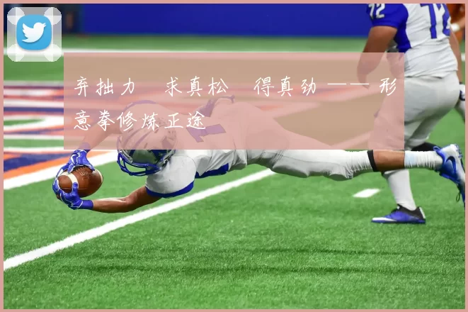 弃拙力・求真松・得真劲 —— 形意拳修炼正途