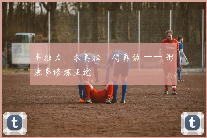 弃拙力・求真松・得真劲 —— 形意拳修炼正途