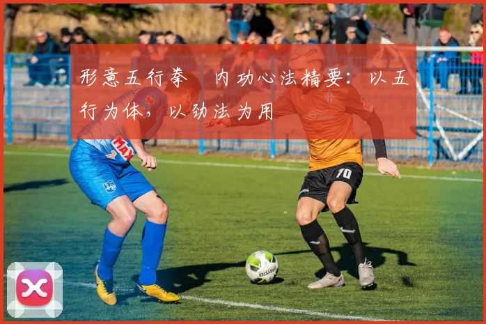 形意五行拳・内功心法精要：以五行为体，以劲法为用