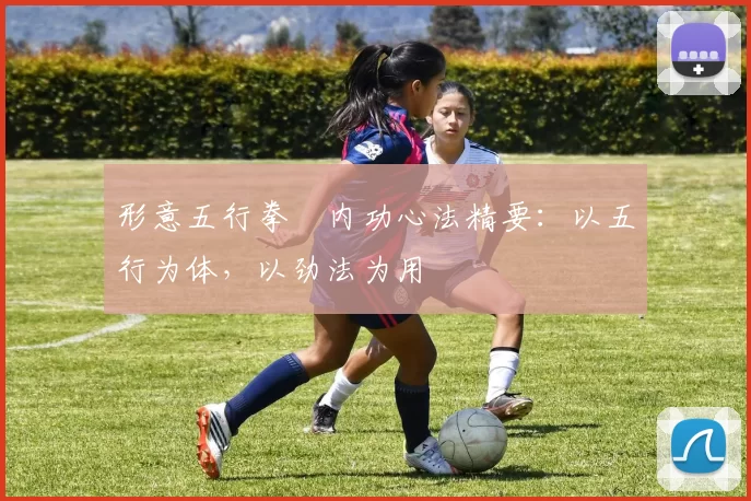 形意五行拳・内功心法精要：以五行为体，以劲法为用