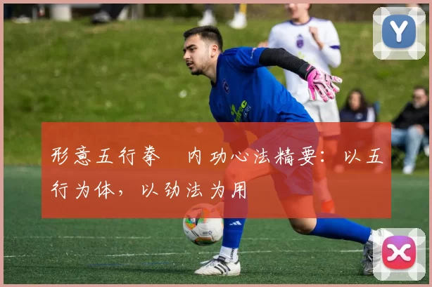 形意五行拳・内功心法精要：以五行为体，以劲法为用