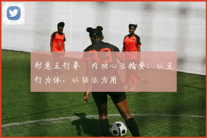 形意五行拳・内功心法精要:以五行为体,以劲法为用