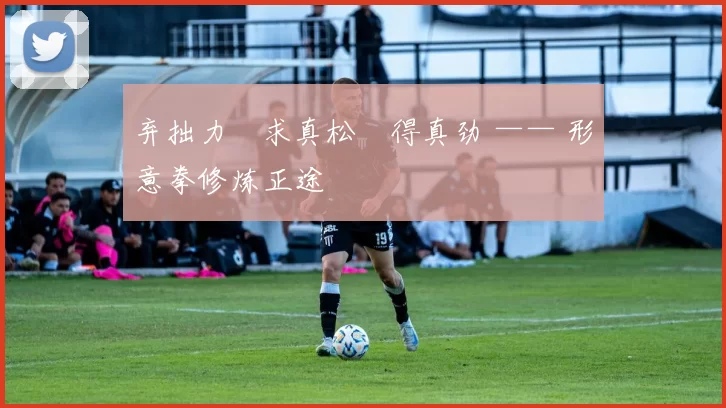 弃拙力・求真松・得真劲 —— 形意拳修炼正途