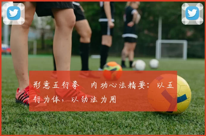形意五行拳・内功心法精要：以五行为体，以劲法为用