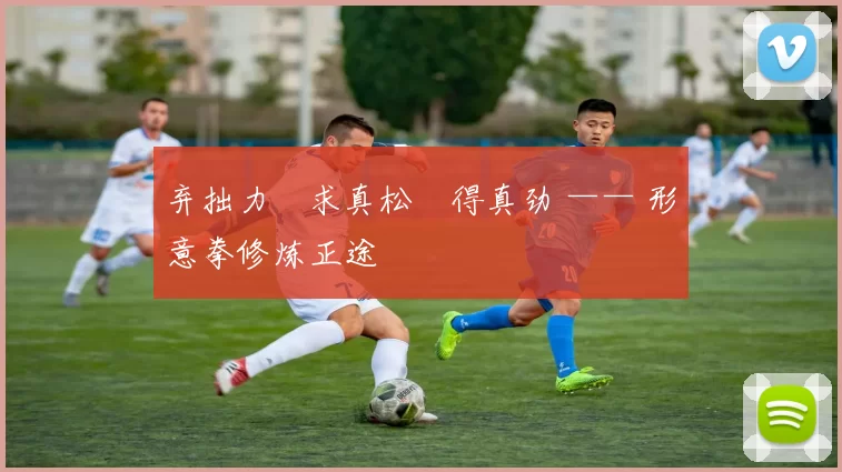 弃拙力・求真松・得真劲 —— 形意拳修炼正途