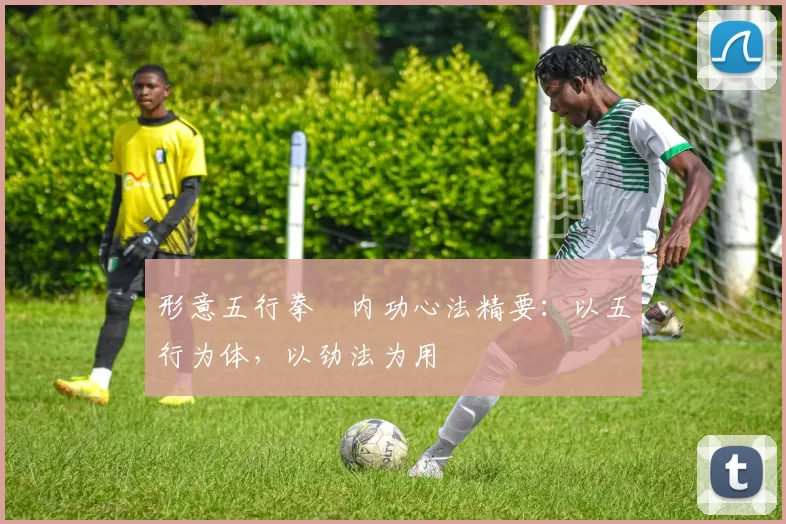 形意五行拳・内功心法精要:以五行为体,以劲法为用