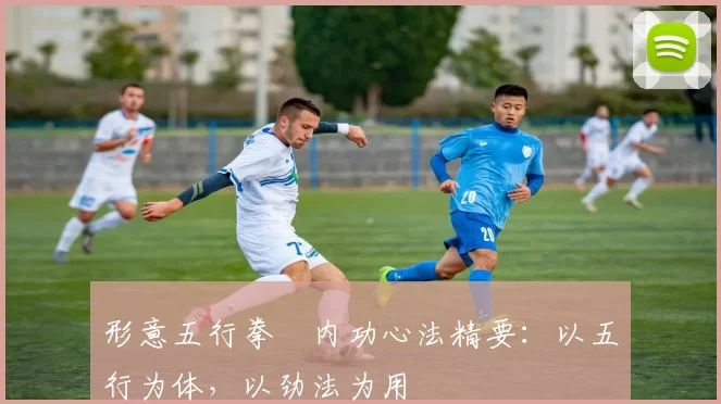 形意五行拳・内功心法精要:以五行为体,以劲法为用