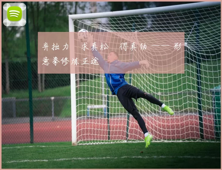 弃拙力・求真松・得真劲 —— 形意拳修炼正途