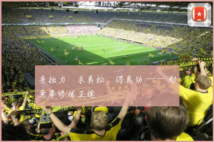 弃拙力・求真松・得真劲 —— 形意拳修炼正途