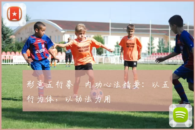 形意五行拳・内功心法精要：以五行为体，以劲法为用