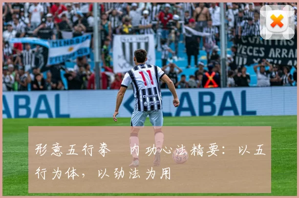 形意五行拳・内功心法精要:以五行为体,以劲法为用