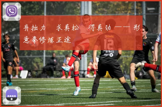 弃拙力・求真松・得真劲 —— 形意拳修炼正途