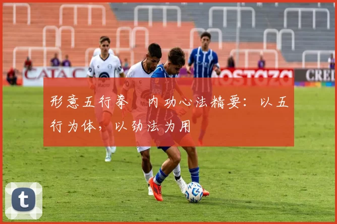 形意五行拳・内功心法精要：以五行为体，以劲法为用