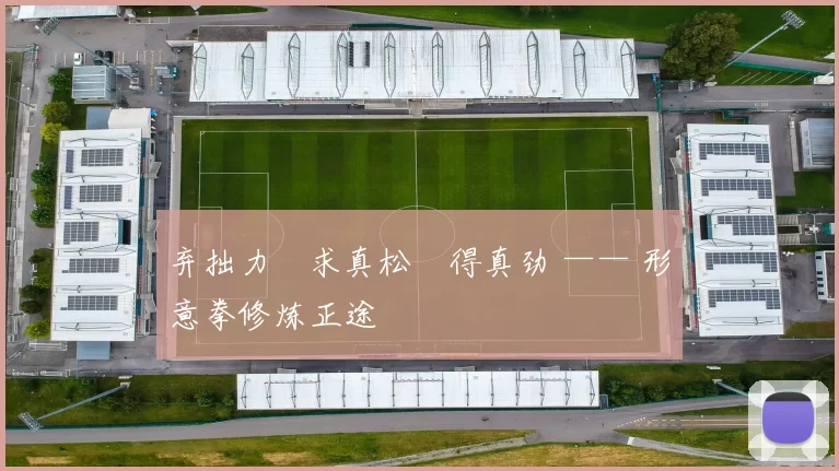 弃拙力・求真松・得真劲 —— 形意拳修炼正途