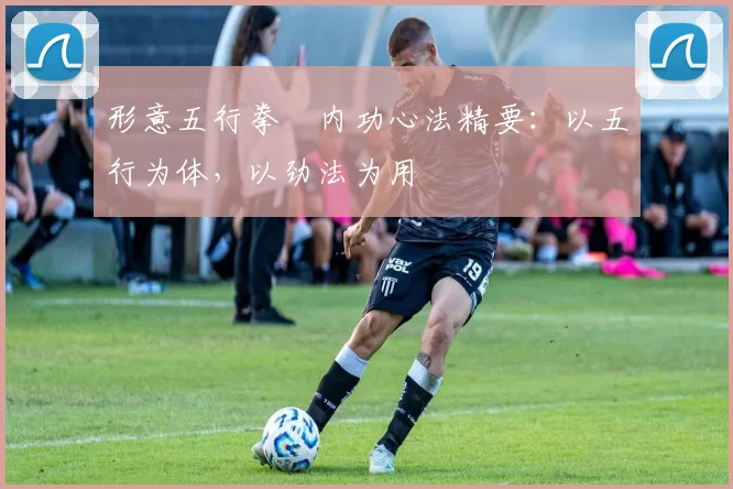 形意五行拳・内功心法精要：以五行为体，以劲法为用