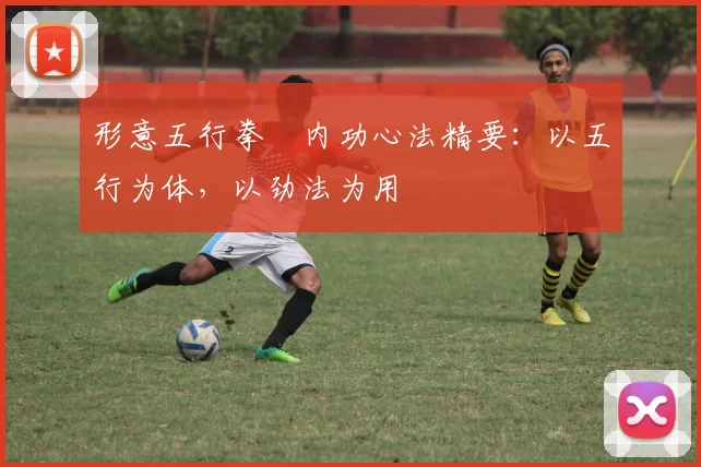 形意五行拳・内功心法精要：以五行为体，以劲法为用